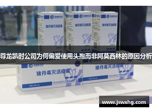 尊龙凯时公司为何偏爱使用头孢而非阿莫西林的原因分析