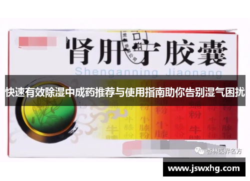 快速有效除湿中成药推荐与使用指南助你告别湿气困扰 快速有效除湿中成药推荐与使用指南助你告别湿气困扰