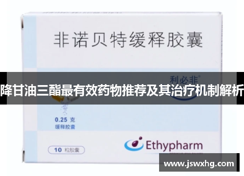 降甘油三酯最有效药物推荐及其治疗机制解析