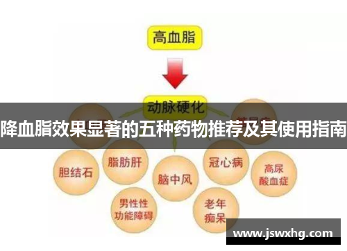 降血脂效果显著的五种药物推荐及其使用指南